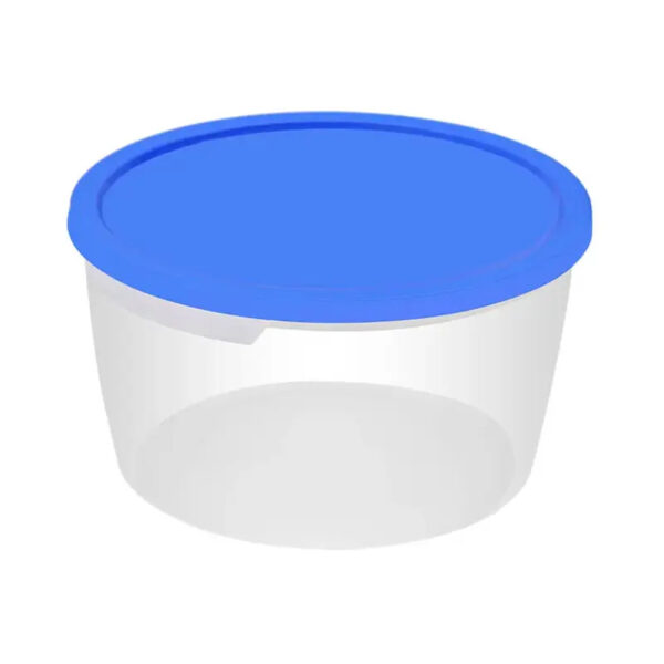 Ltr Dentex White Container