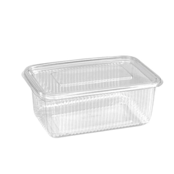 Pet Container Hinged (1)